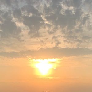 Meet your Posher, Celeste